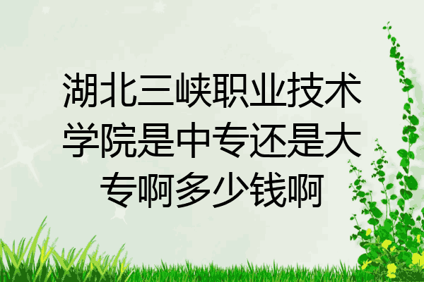 湖北三峡职业技术学院是中专还是大专啊多少钱啊
