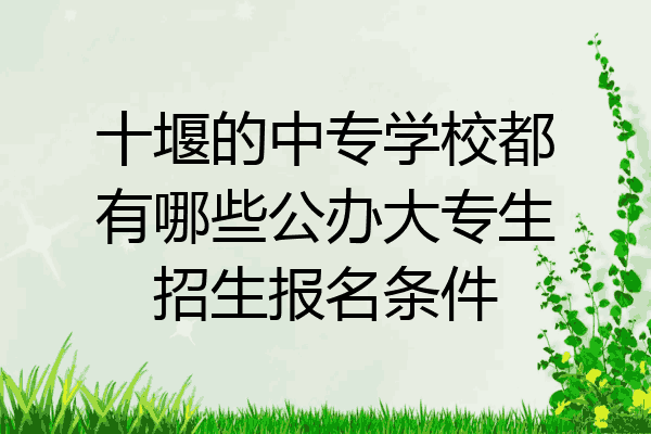 十堰的中专学校都有哪些公办大专生招生报名条件
