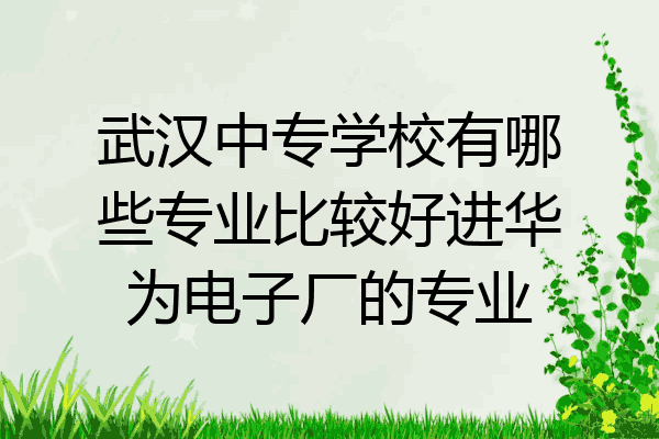 武汉中专学校有哪些专业比较好进华为电子厂的专业