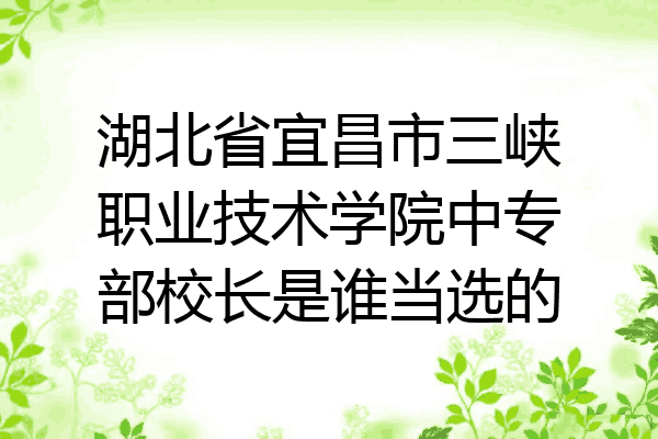 湖北省宜昌市三峡职业技术学院中专部校长是谁当选的