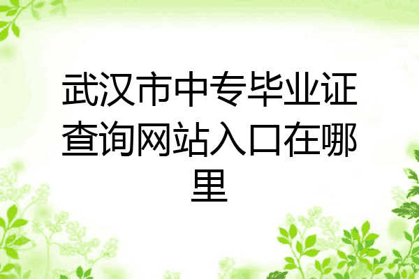 武汉市中专毕业证查询网站入口在哪里