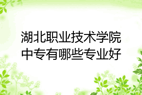 湖北职业技术学院中专有哪些专业好