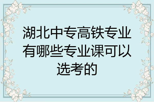 湖北中专高铁专业有哪些专业课可以选考的