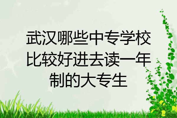武汉哪些中专学校比较好进去读一年制的大专生