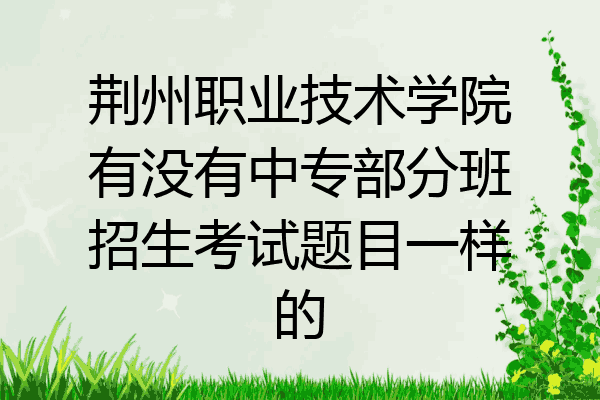 荆州职业技术学院有没有中专部分班招生考试题目一样的