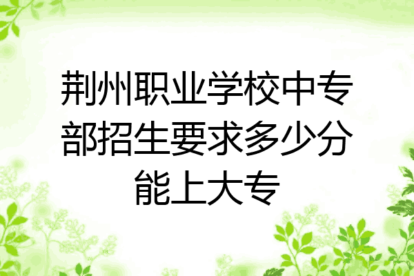 荆州职业学校中专部招生要求多少分能上大专