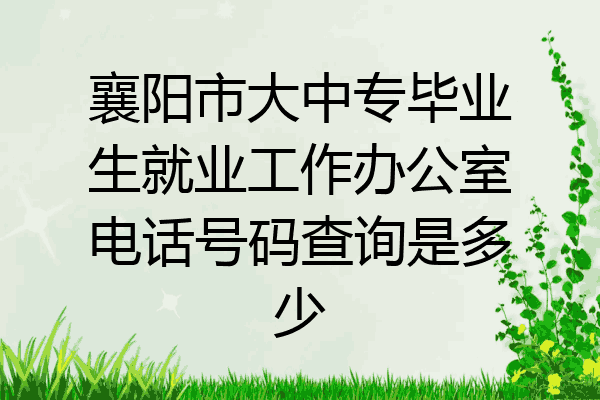 襄阳市大中专毕业生就业工作办公室电话号码查询是多少