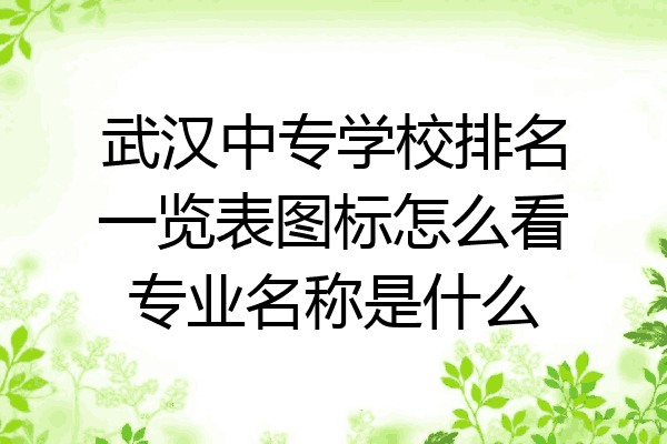 武汉中专学校排名一览表图标怎么看专业名称是什么