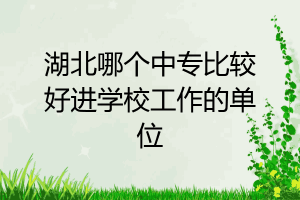 湖北哪个中专比较好进学校工作的单位