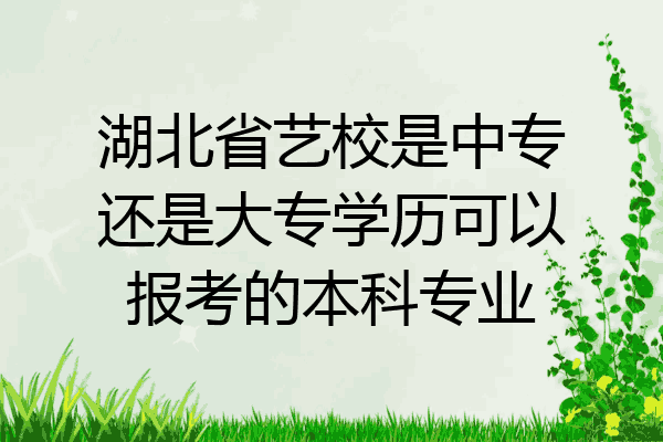 湖北省艺校是中专还是大专学历可以报考的本科专业