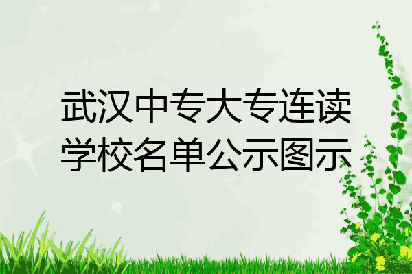 武汉中专大专连读学校名单公示图示