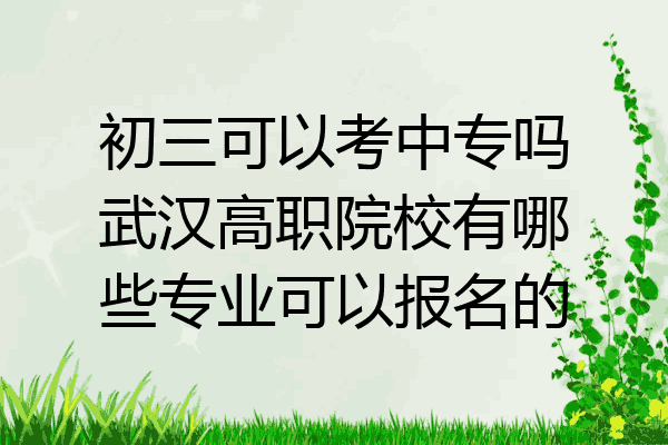 初三可以考中专吗武汉高职院校有哪些专业可以报名的