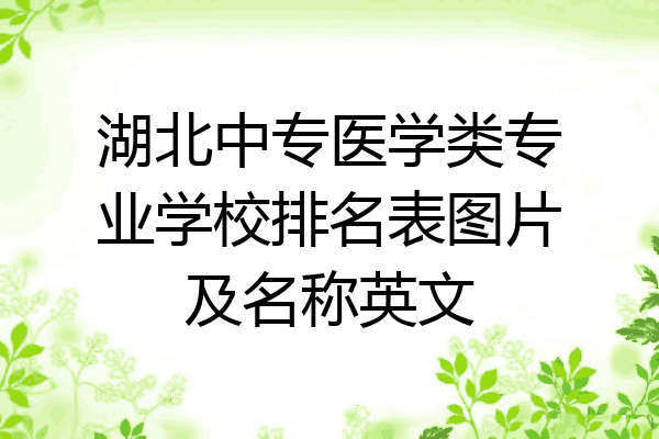 湖北中专医学类专业学校排名表图片及名称英文