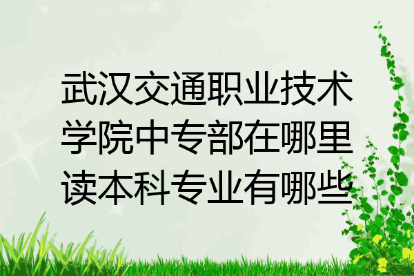 武汉交通职业技术学院中专部在哪里读本科专业有哪些