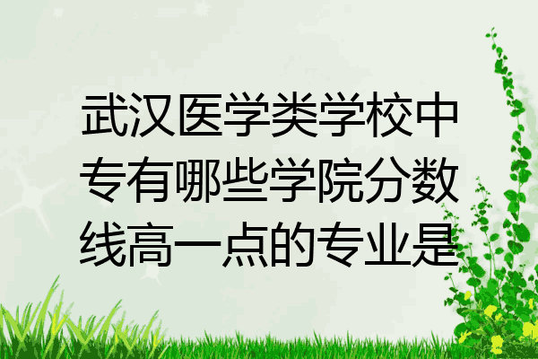 武汉医学类学校中专有哪些学院分数线高一点的专业是