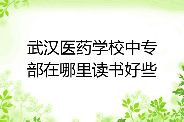 武汉医药学校中专部在哪里读书好些