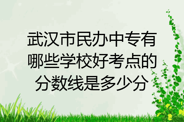 武汉市民办中专有哪些学校好考点的分数线是多少分