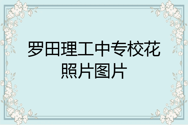 罗田理工中专校花照片图片