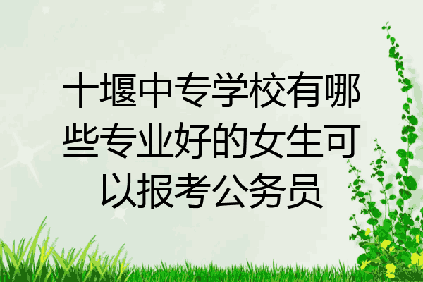 十堰中专学校有哪些专业好的女生可以报考公务员