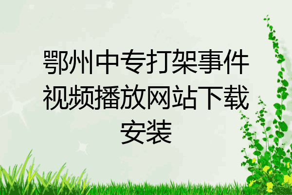 鄂州中专打架事件视频播放网站下载安装