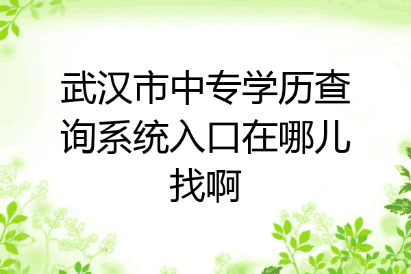 武汉市中专学历查询系统入口在哪儿找啊