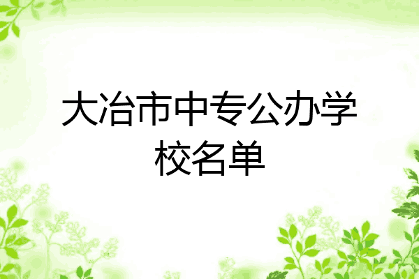 大冶市中专公办学校名单