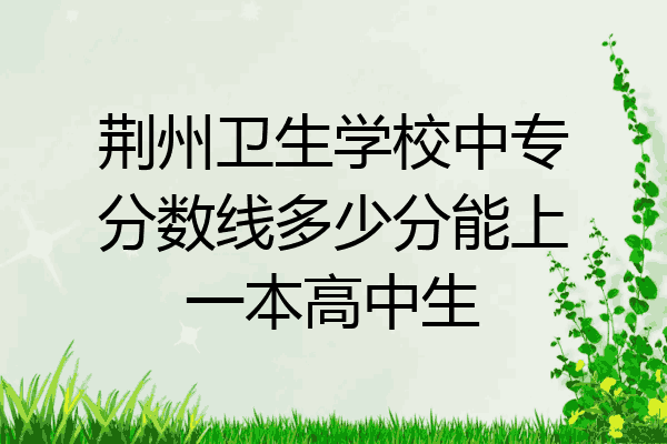 荆州卫生学校中专分数线多少分能上一本高中生