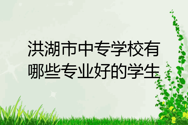 洪湖市中专学校有哪些专业好的学生