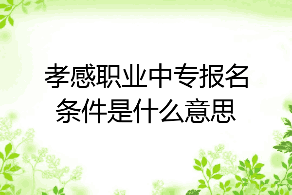 孝感职业中专报名条件是什么意思