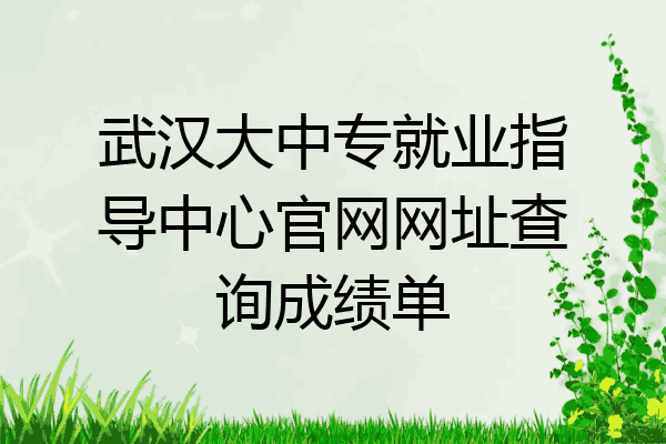 武汉大中专就业指导中心官网网址查询成绩单