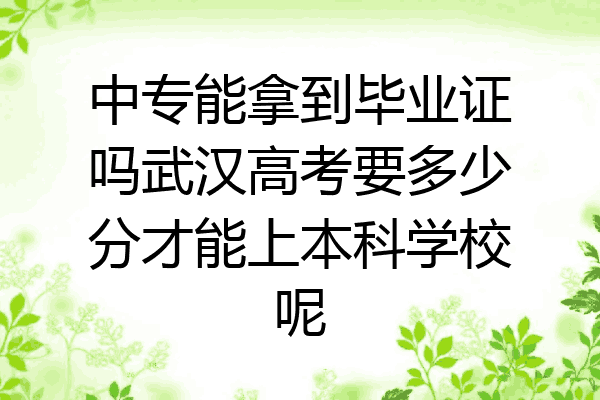 中专能拿到毕业证吗武汉高考要多少分才能上本科学校呢
