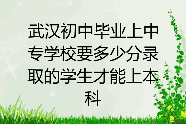 武汉初中毕业上中专学校要多少分录取的学生才能上本科