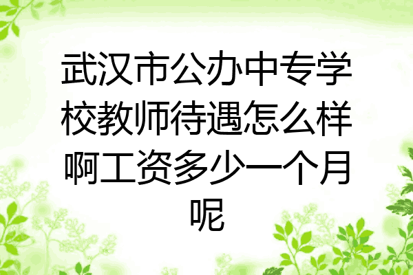 武汉市公办中专学校教师待遇怎么样啊工资多少一个月呢
