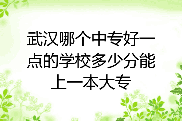 武汉哪个中专好一点的学校多少分能上一本大专
