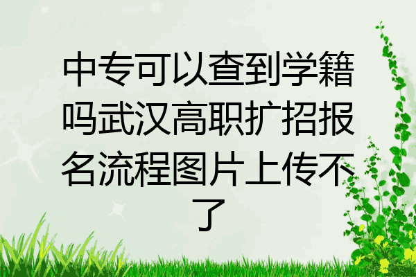 中专可以查到学籍吗武汉高职扩招报名流程图片上传不了