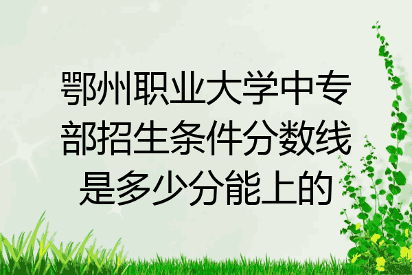 鄂州职业大学中专部招生条件分数线是多少分能上的