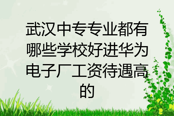 武汉中专专业都有哪些学校好进华为电子厂工资待遇高的