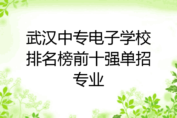 武汉中专电子学校排名榜前十强单招专业