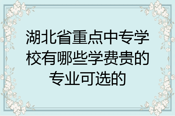 湖北省重点中专学校有哪些学费贵的专业可选的