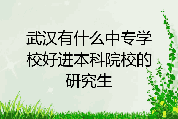 武汉有什么中专学校好进本科院校的研究生