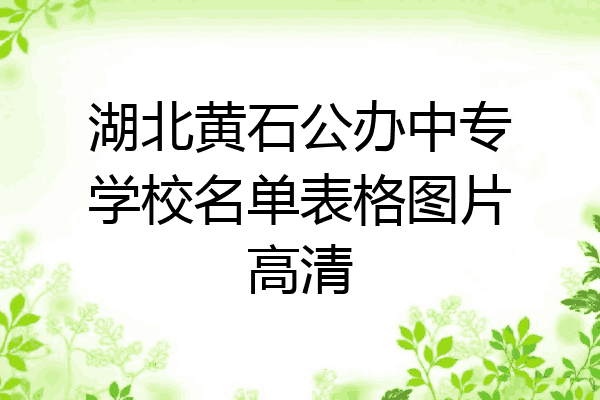湖北黄石公办中专学校名单表格图片高清
