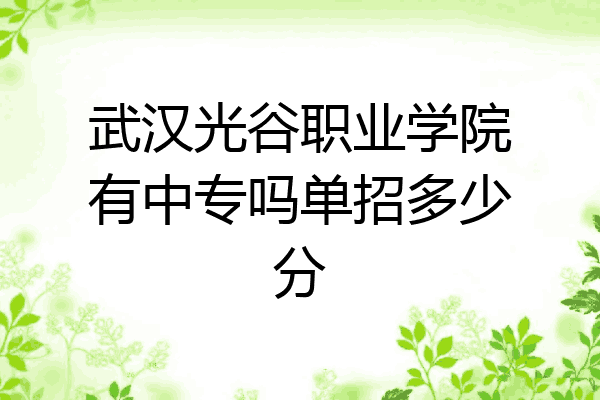 武汉光谷职业学院有中专吗单招多少分