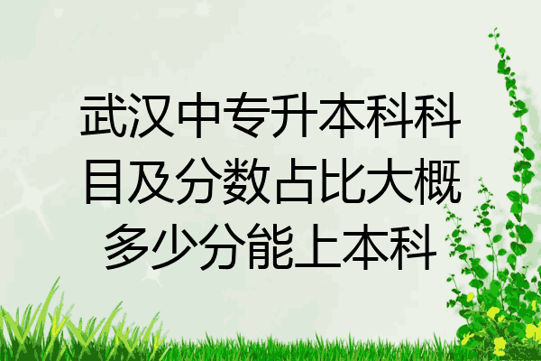 武汉中专升本科科目及分数占比大概多少分能上本科