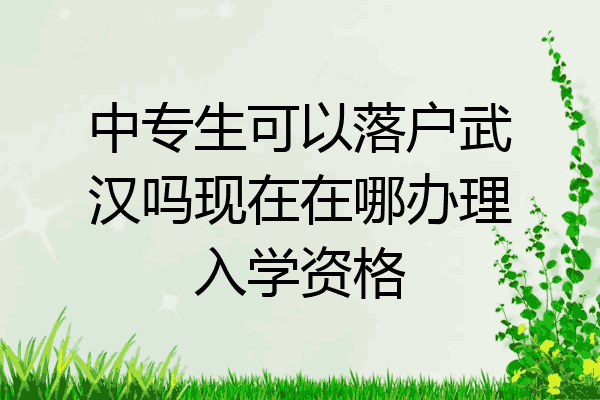 中专生可以落户武汉吗现在在哪办理入学资格