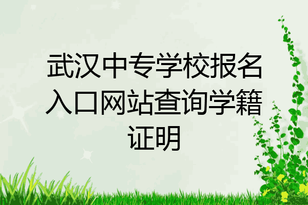 武汉中专学校报名入口网站查询学籍证明