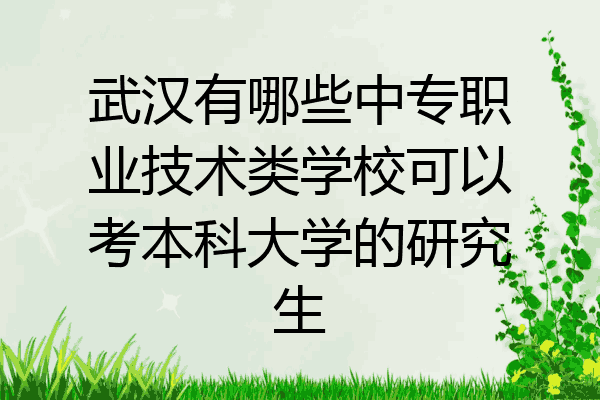 武汉有哪些中专职业技术类学校可以考本科大学的研究生
