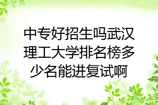 中专好招生吗武汉理工大学排名榜多少名能进复试啊
