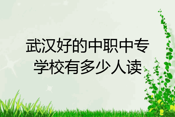武汉好的中职中专学校有多少人读