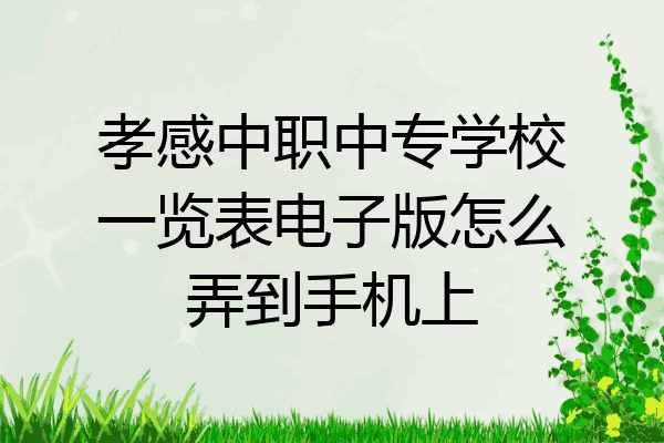 孝感中职中专学校一览表电子版怎么弄到手机上