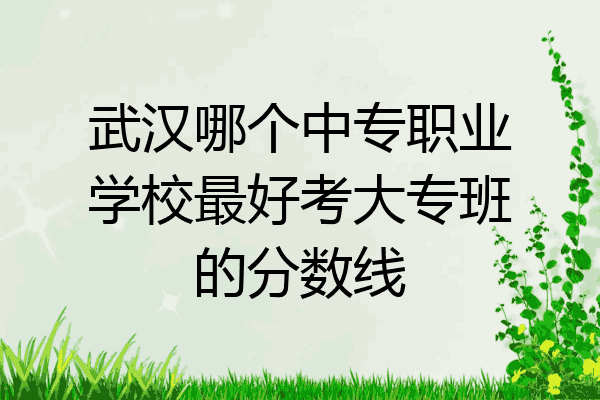 武汉哪个中专职业学校最好考大专班的分数线